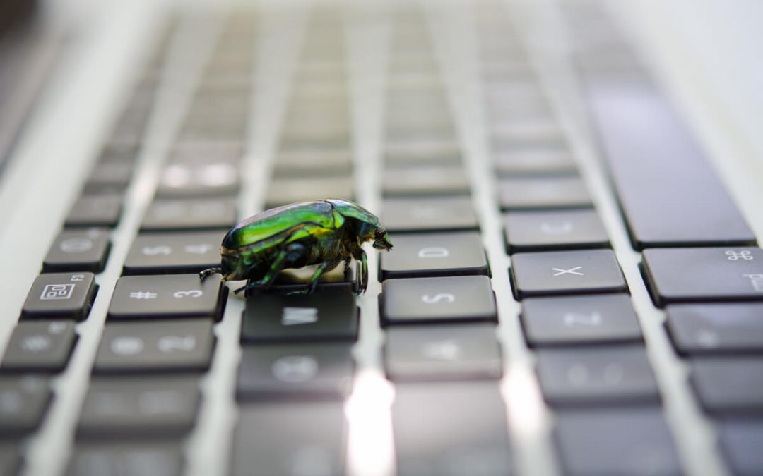 Why Software Bug Reproduction is vital?