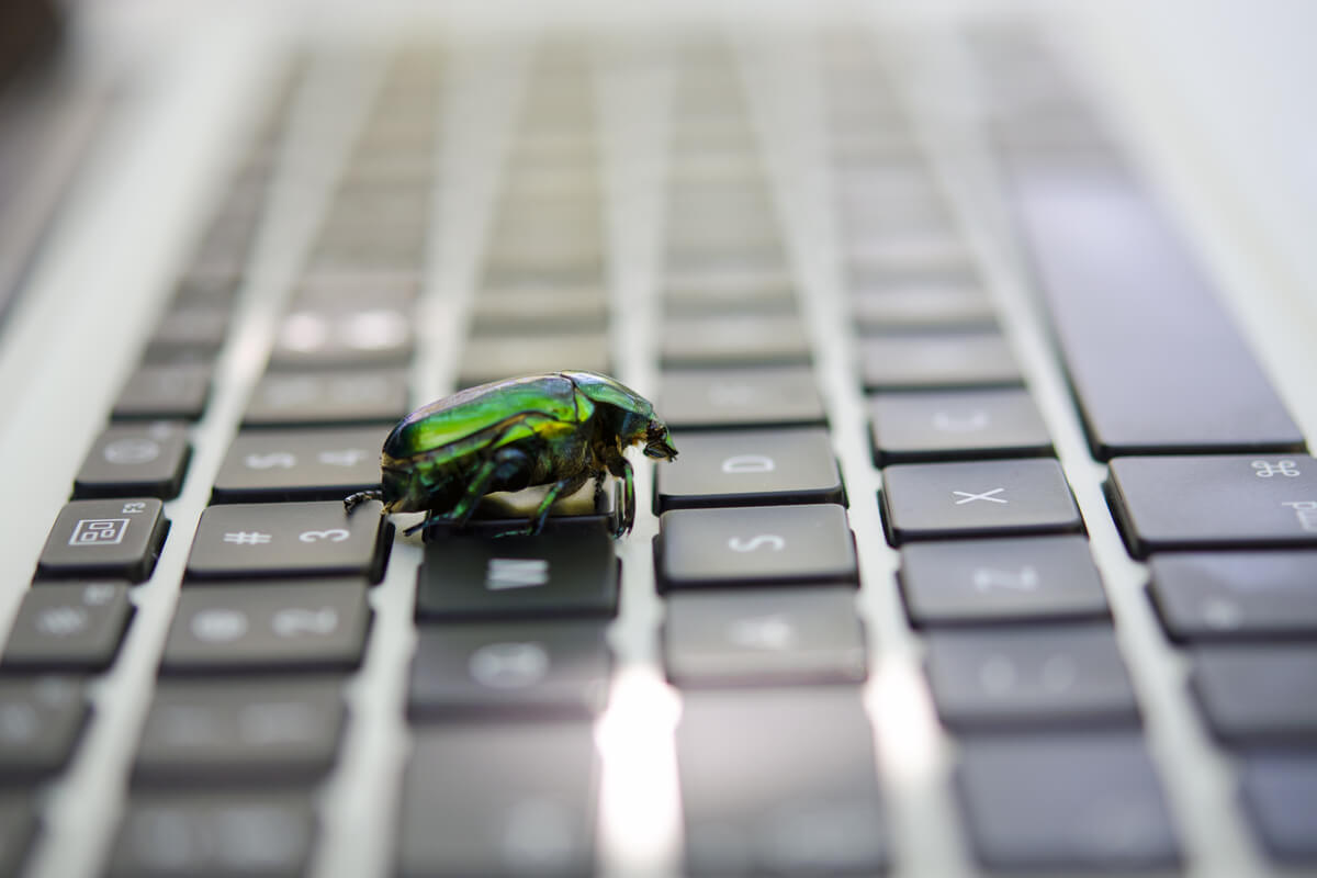Why Software Bug Reproduction is vital
