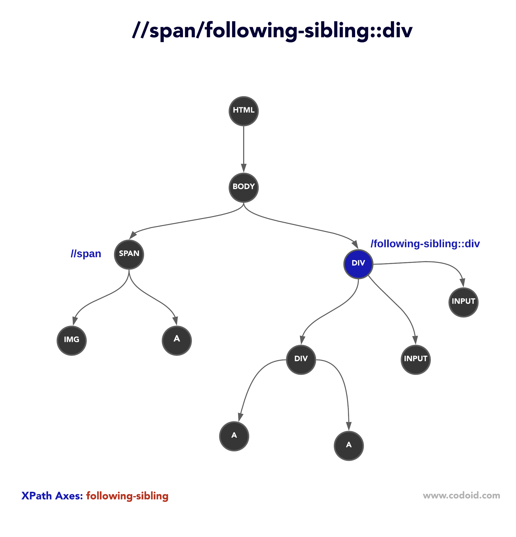 xpath following-sibling