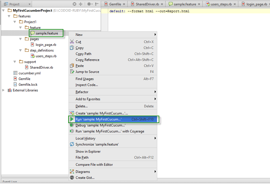 Step10-Run the feature file