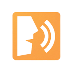 Chromevox Accessibility Testing Tool