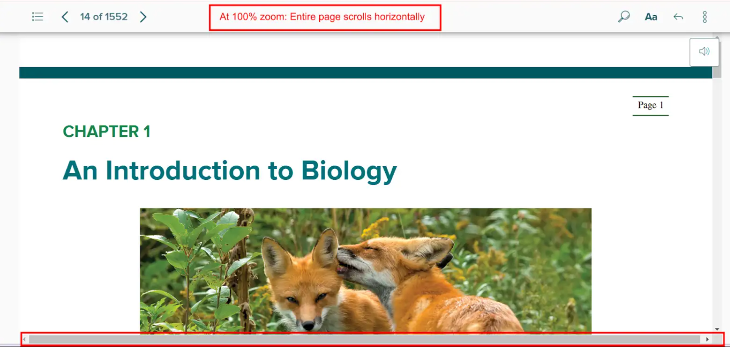 Horizontal Scroll at 100% Zoom